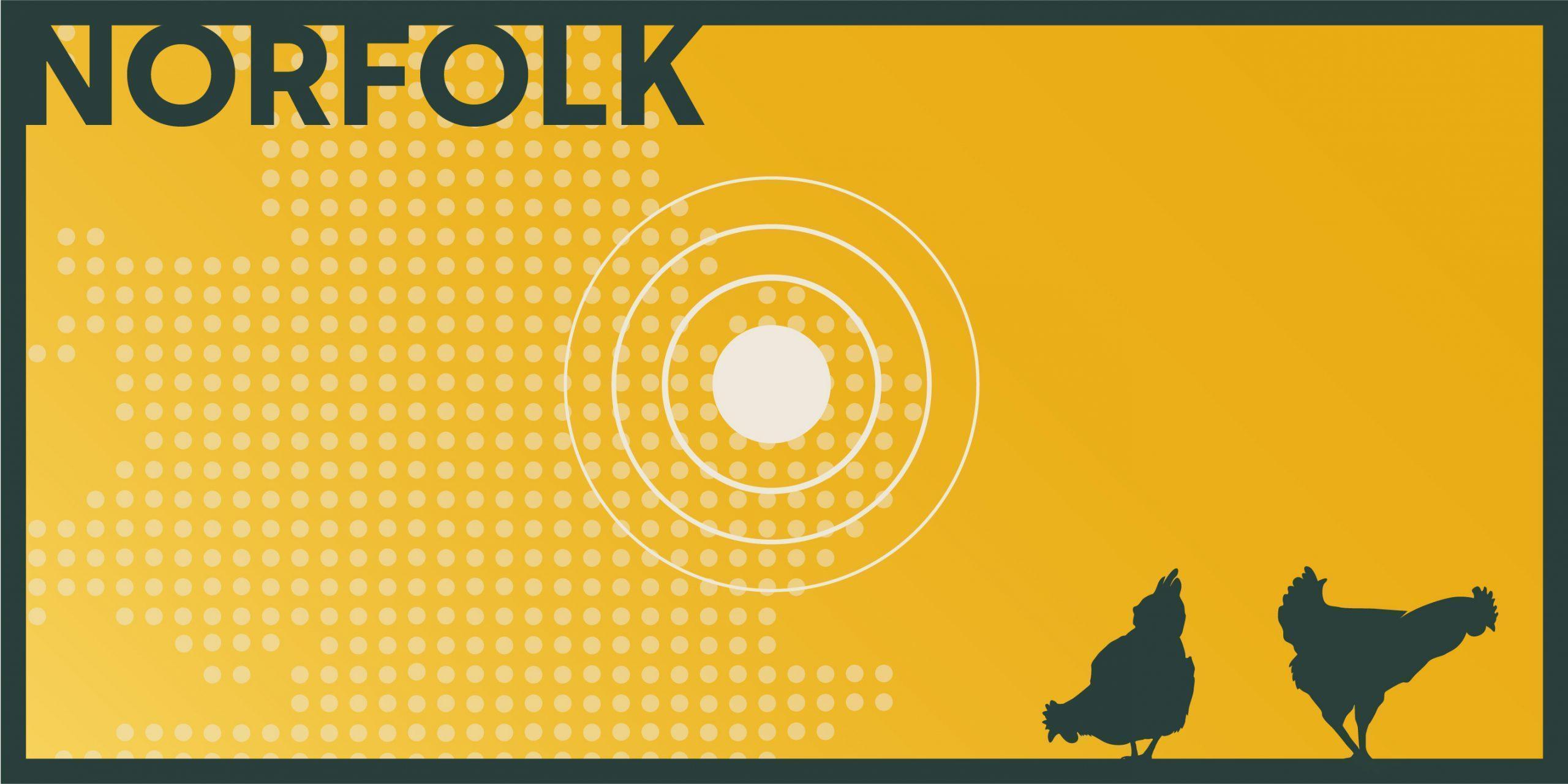 AI outbreak found on Norfolk farm blog post graphic