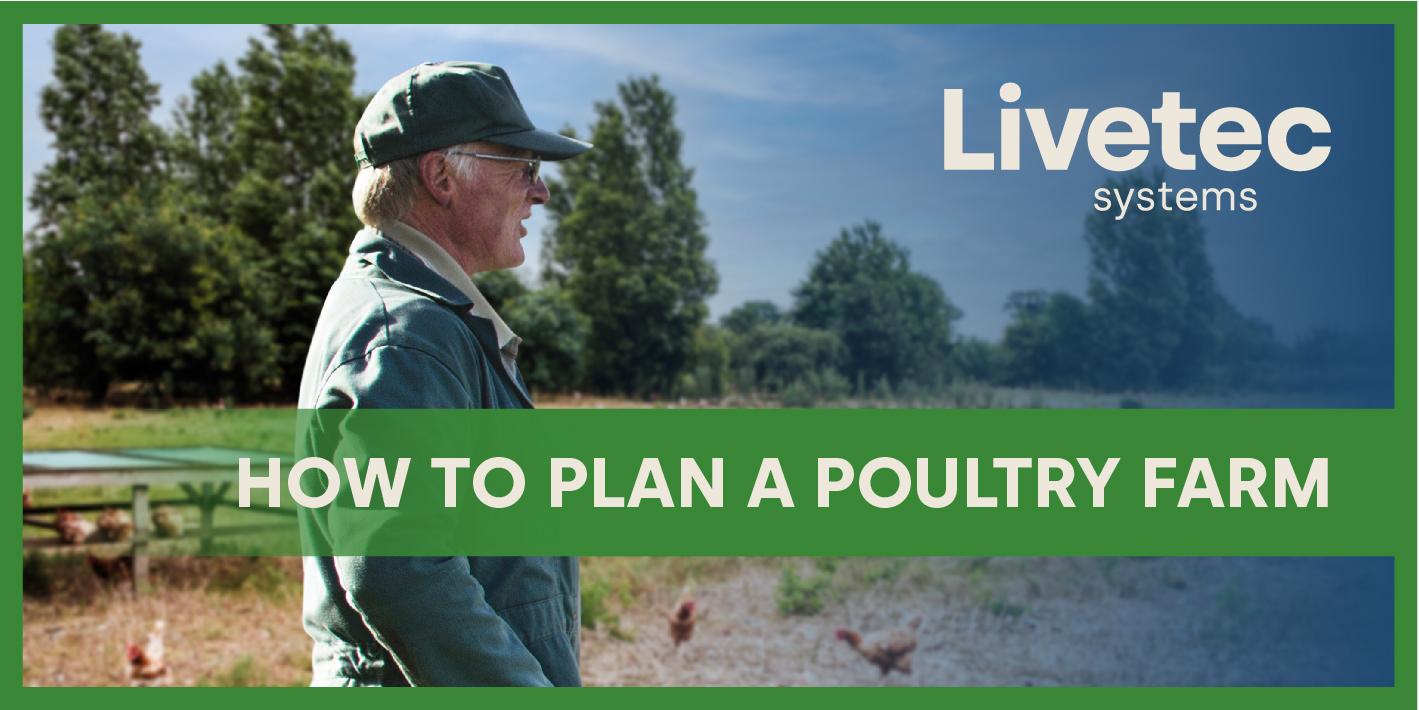 How to plan a poultry farm blog post graphic