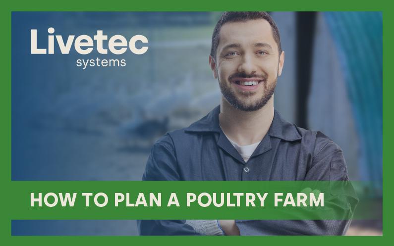 How to plan a poultry farm