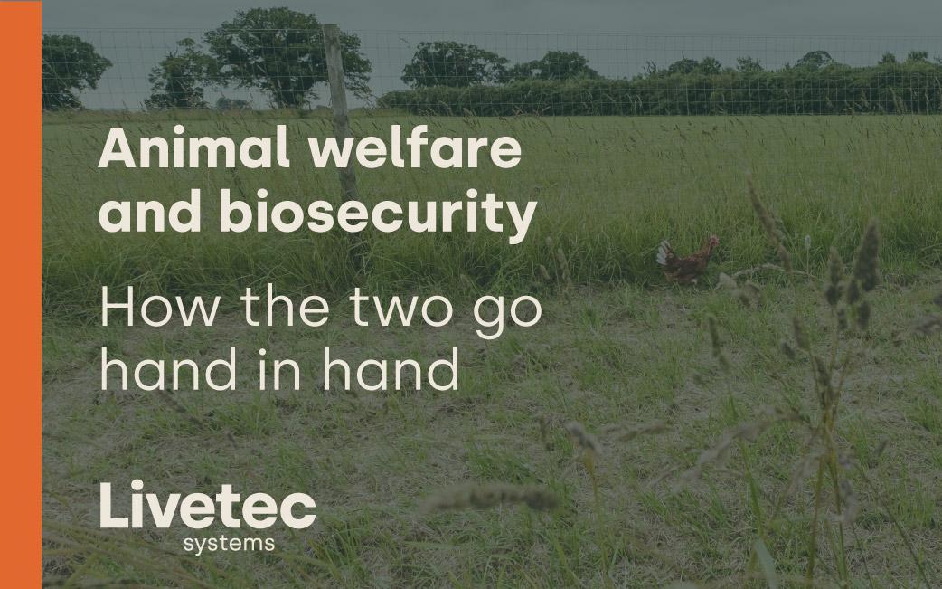 How animal welfare and biosecurity go hand in hand