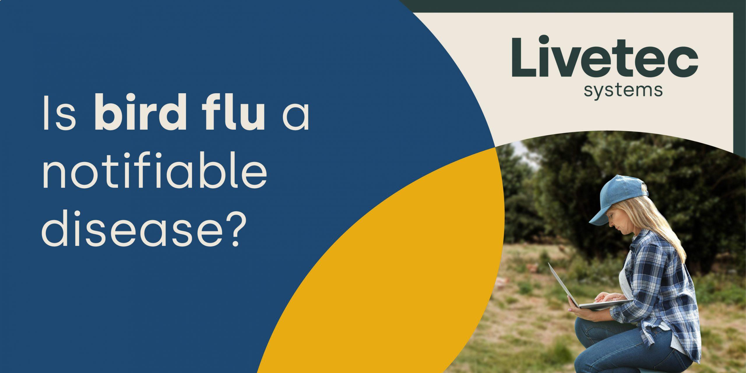Is bird flu a notifiable disease?
