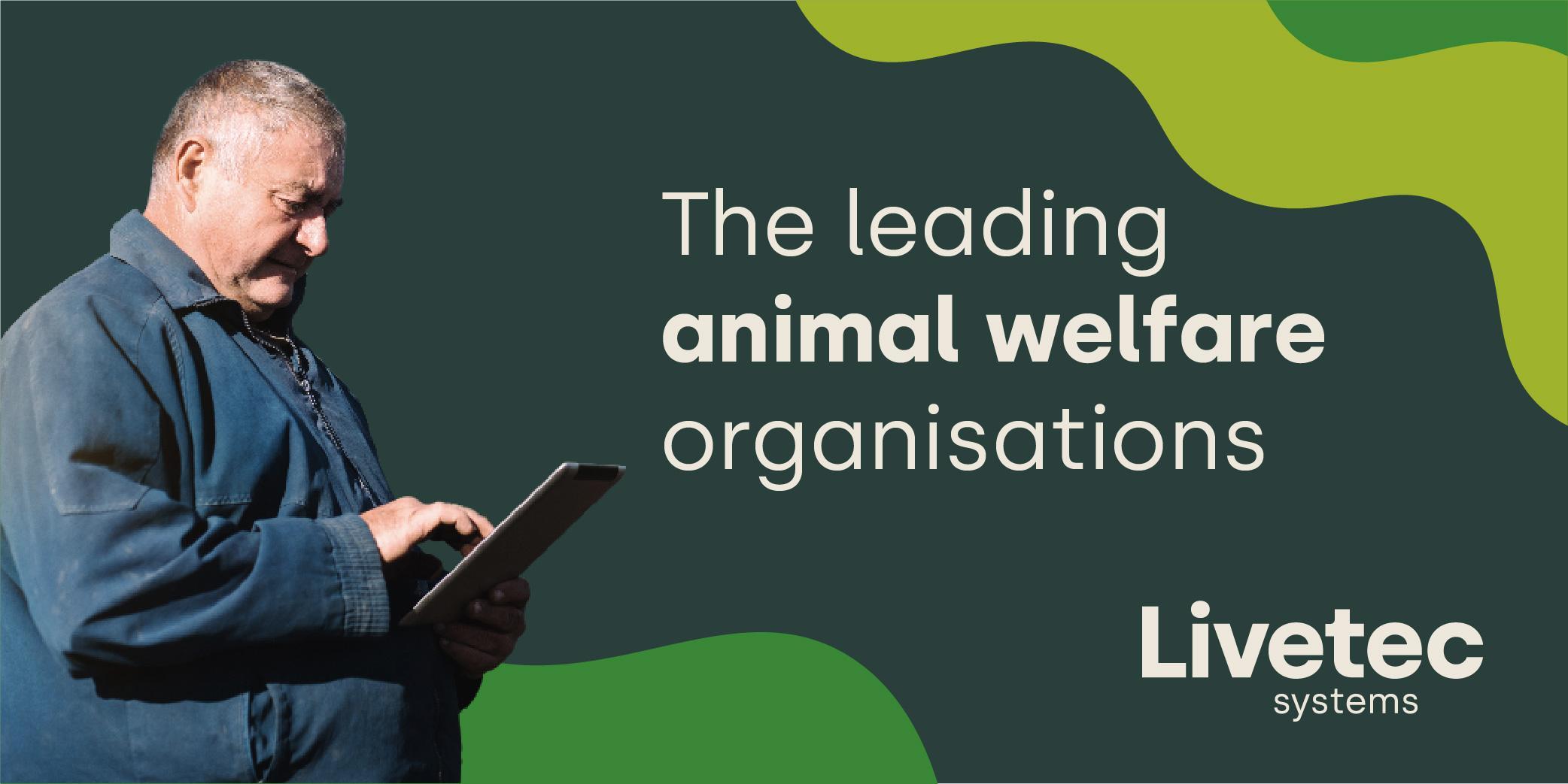 The Leading Animal Welfare Organisations in the UK blog post graphic