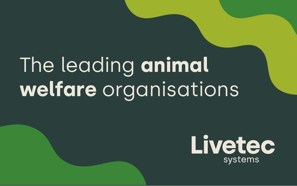 The leading animal welfare organisations in the UK
