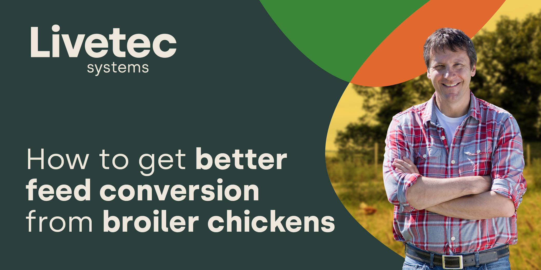 How to get better feed conversion from broiler chickens blog post graphic