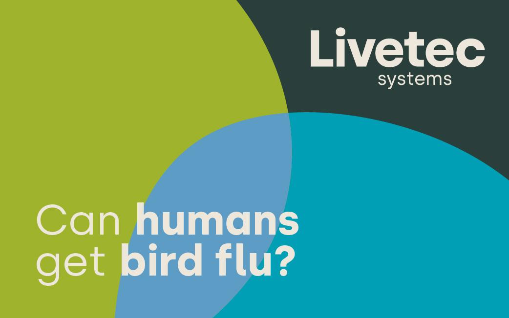 Can humans get bird flu?