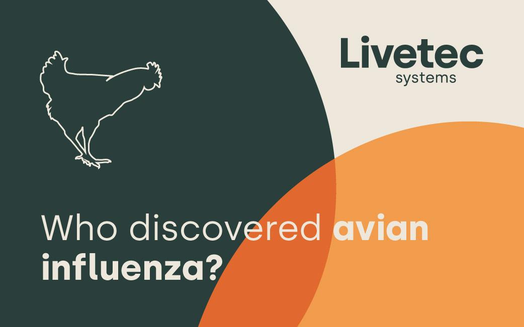 Who discovered avian influenza?