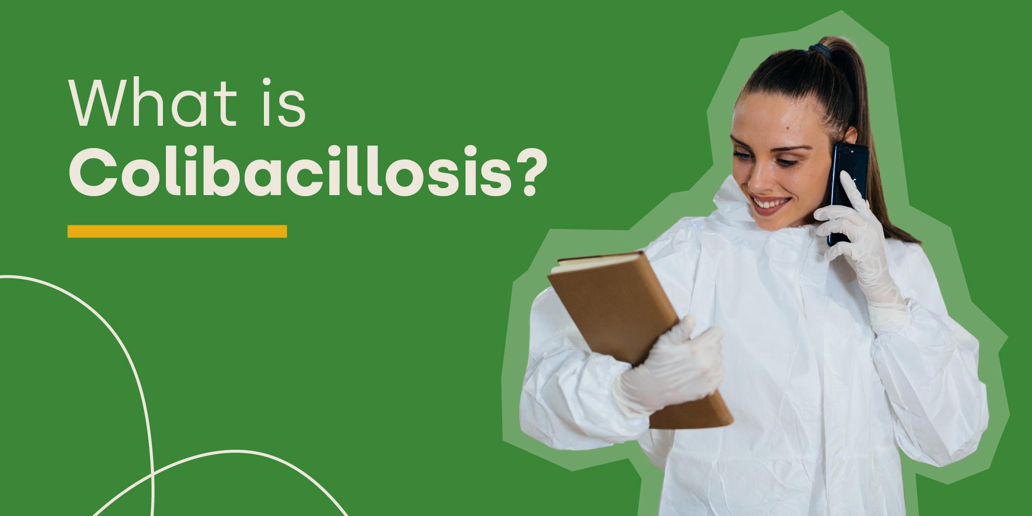 What is Colibacillosis?