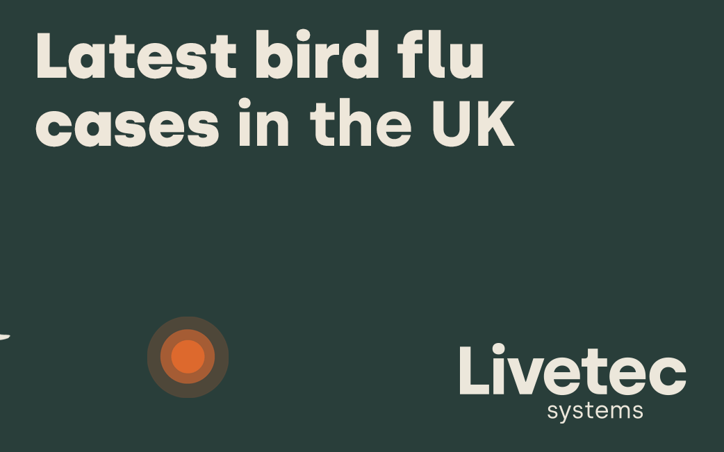 Avian influenza outbreaks in the UK