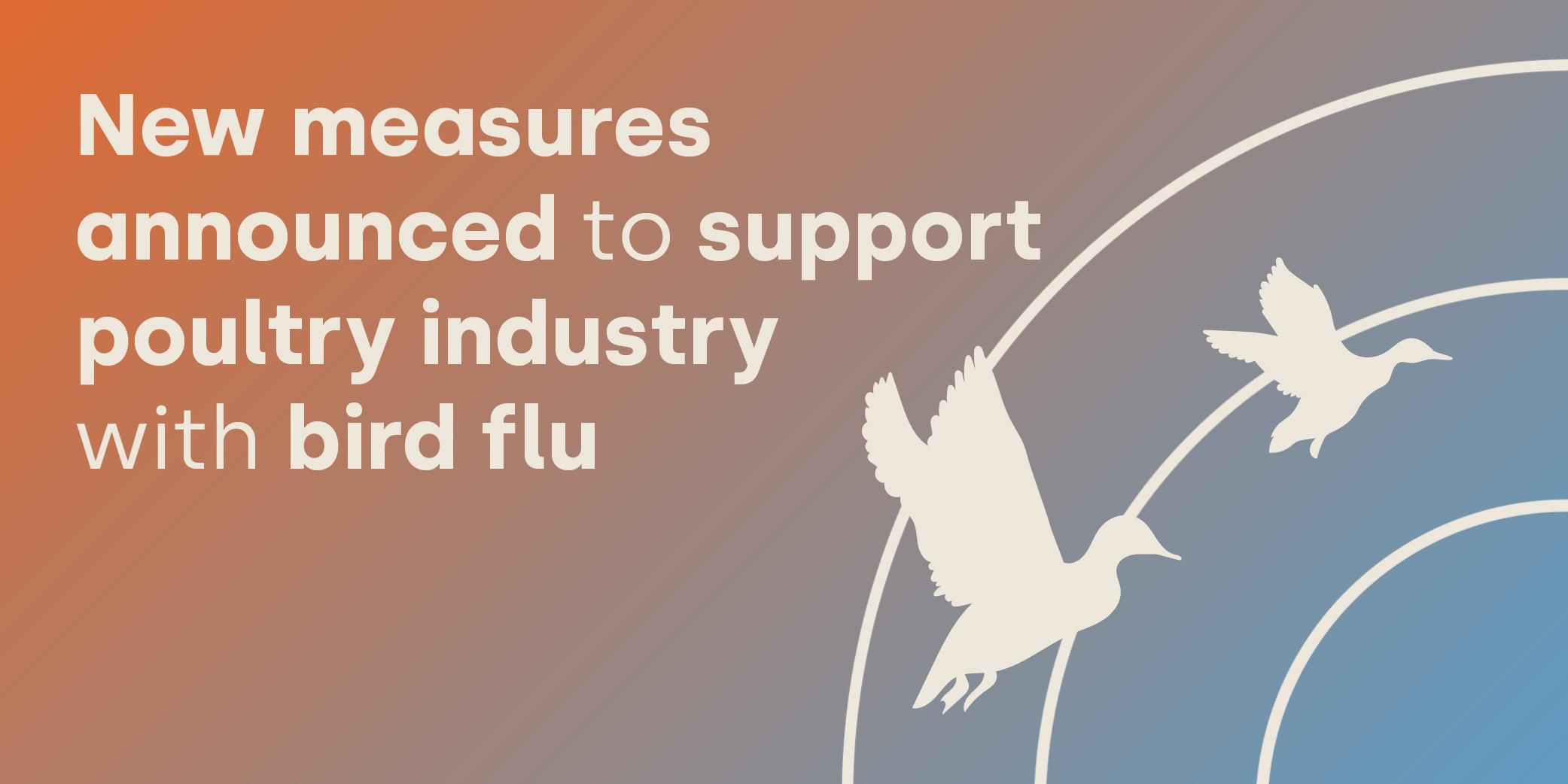 Defra announces new measures designed to support the poultry industry with bird flu