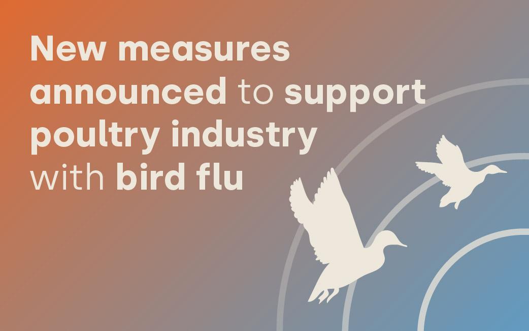 New measures announced to support poultry industry with bird flu