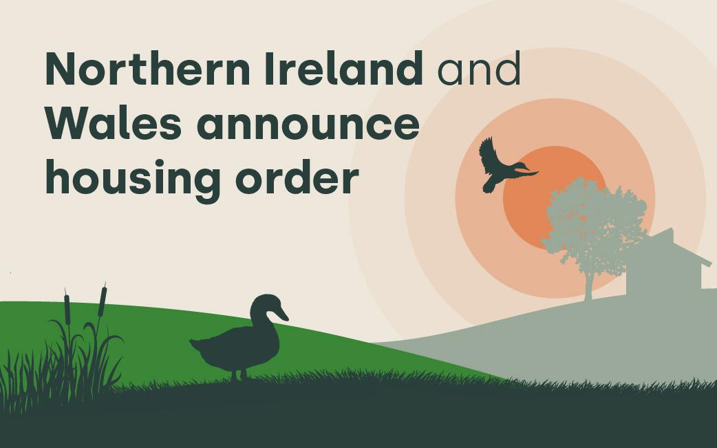Northern Ireland and Wales announce housing order