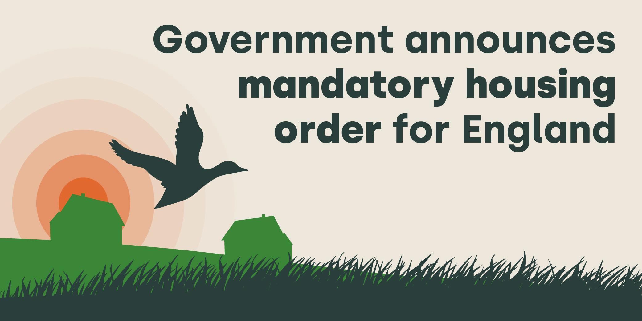 Government announces mandatory housing order for England blog post image