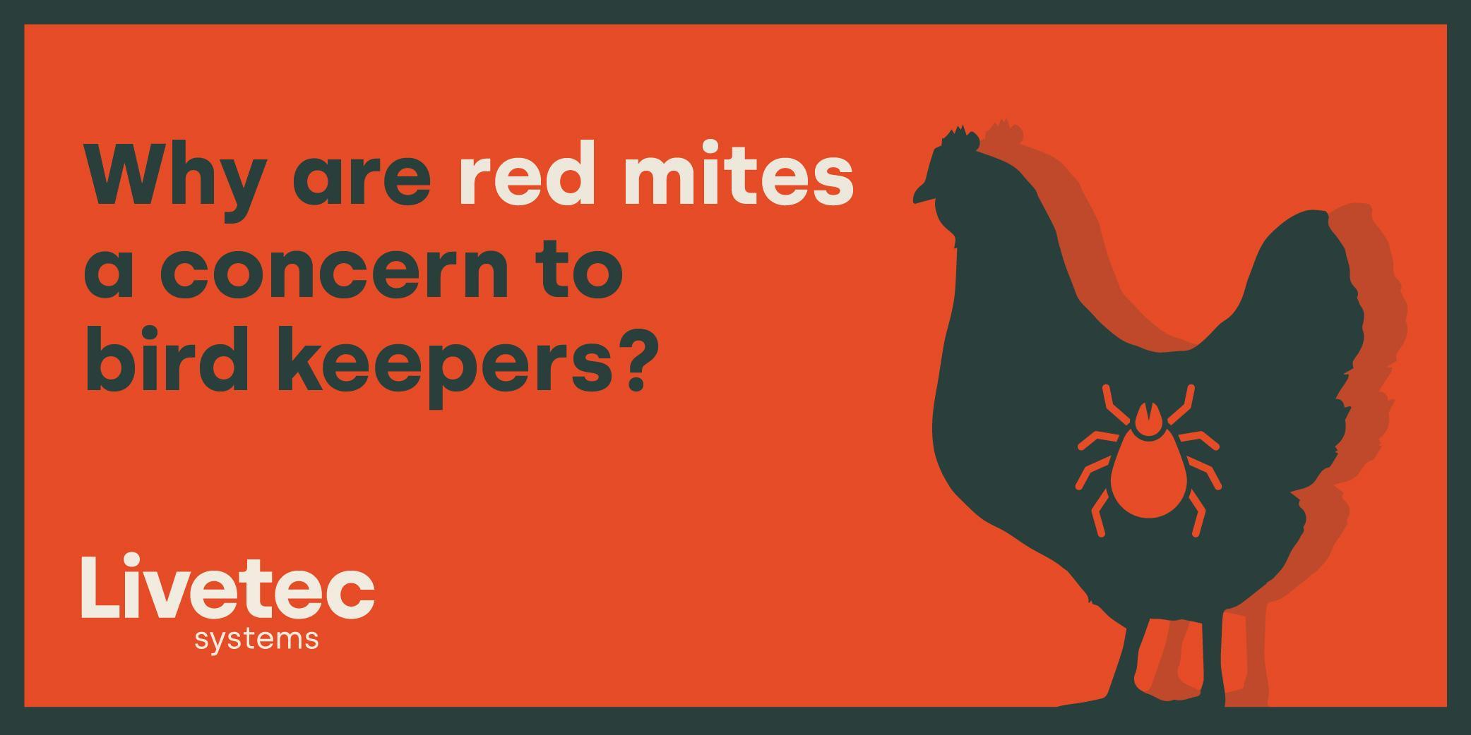 Why are red mites a concern to bird keepers?