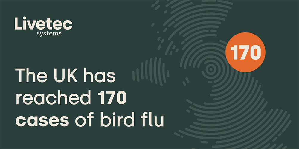 The UK has reached 170 cases of bird flu, also known as avian influenza since the 1st October 2022. This is the worst outbreak since records began.