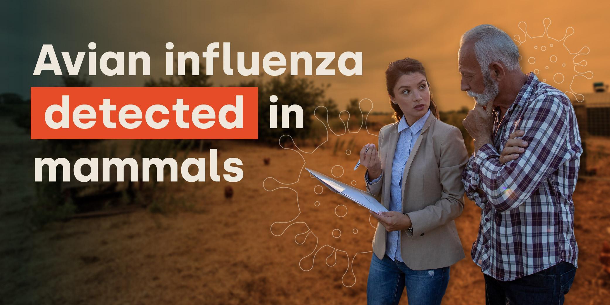 Avian influenza H5N1 detected in mammals blog image