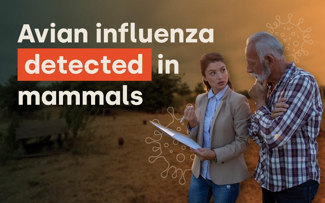 Avian influenza H5N1 detected in mammals