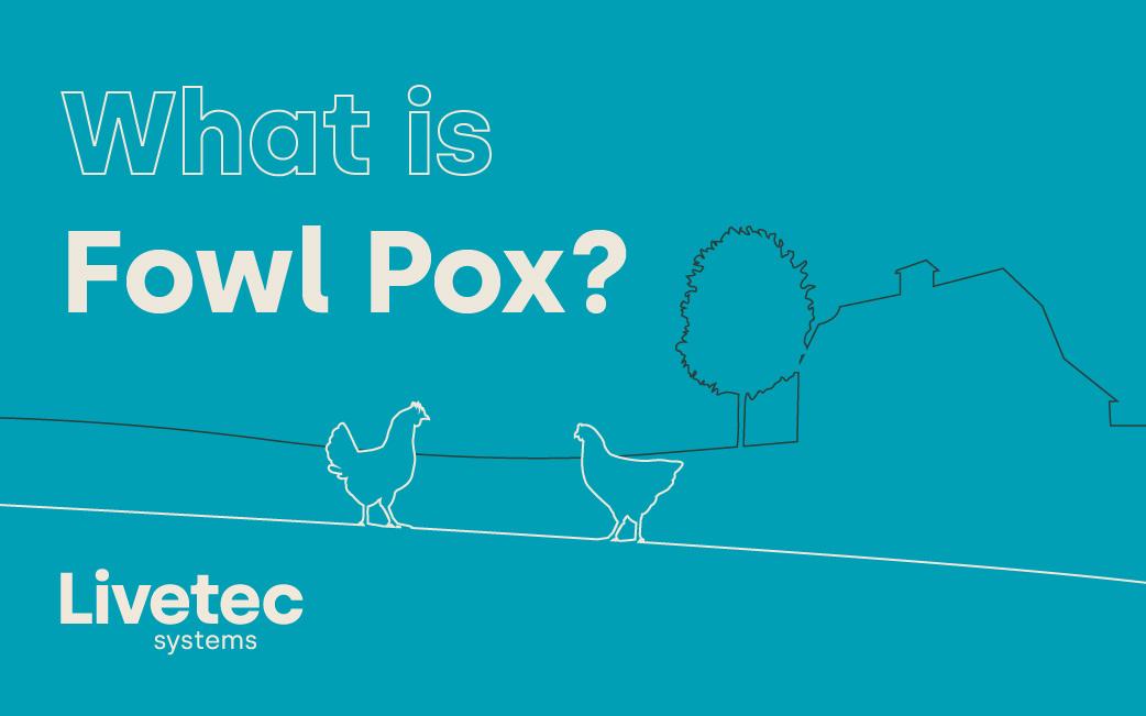 What is Fowl pox?