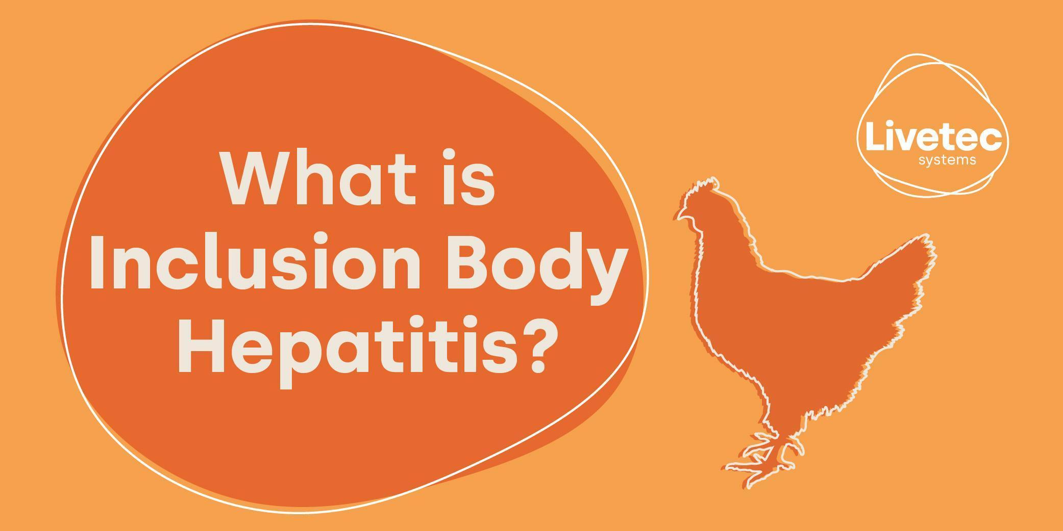 What is Inclusion Body Hepatitis? blog graphic