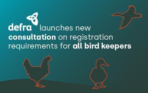 Defra launches new consultation on registration requirements for all bird keepers