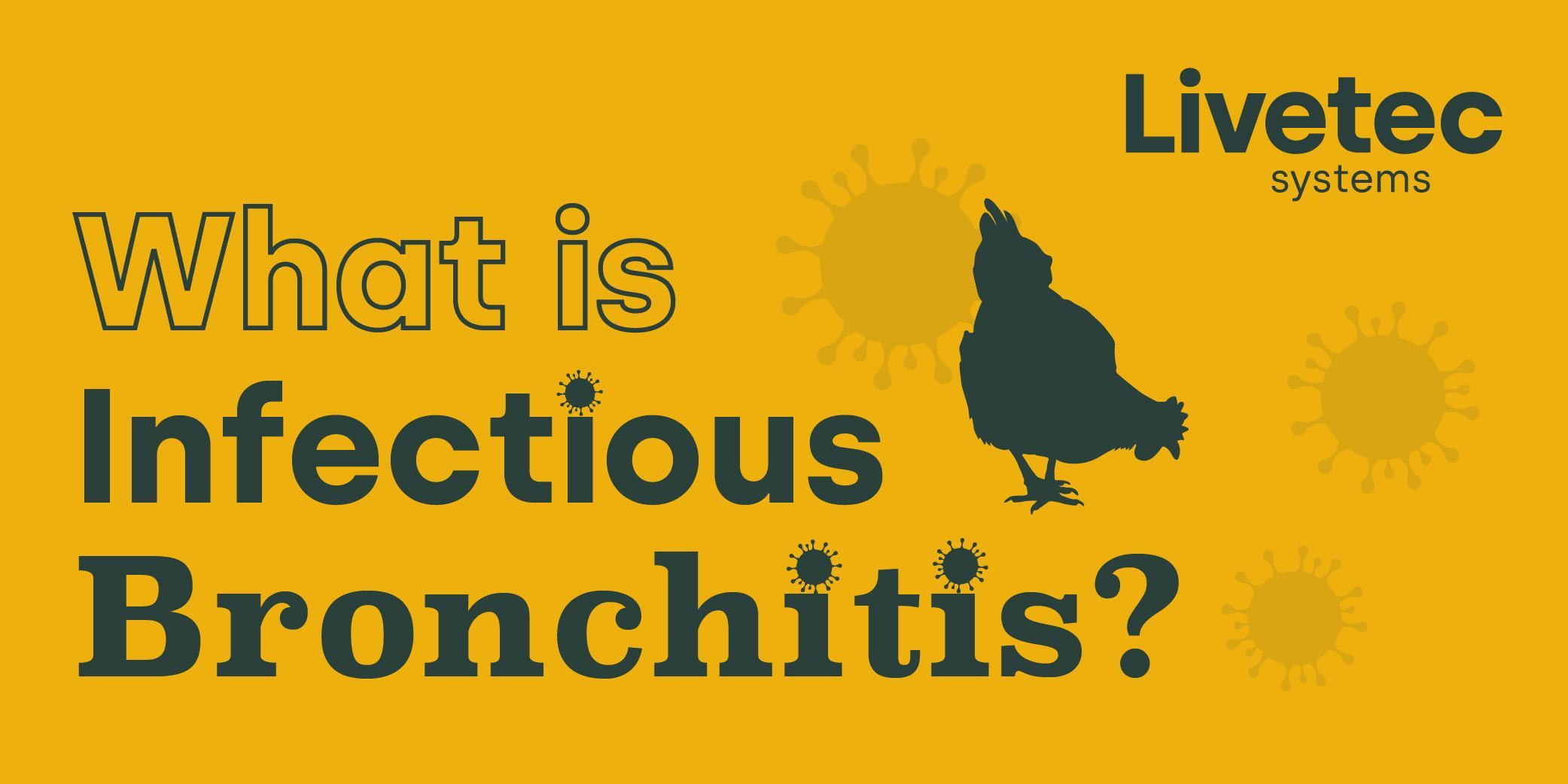 What is Infectious Bronchitis? blog graphic