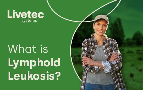 What is Lymphoid Leukosis and how does it affect chickens?