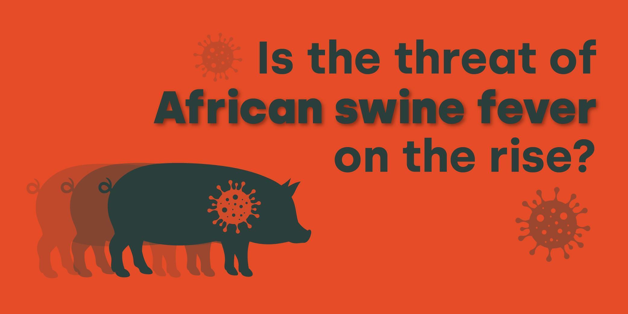 Is the threat of African swine fever on the rise? blog graphic