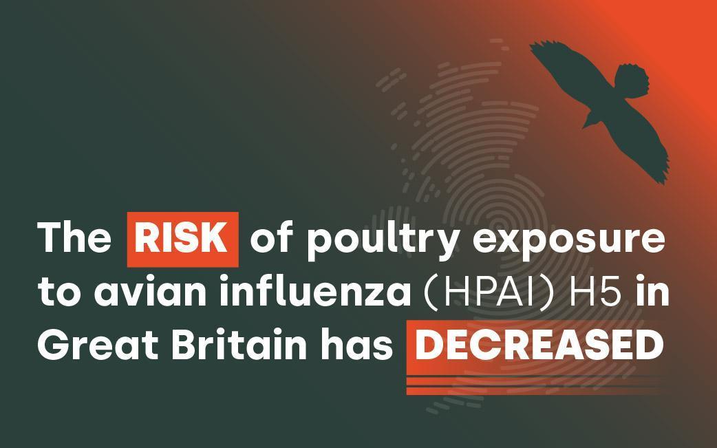 The risk of poultry exposure to avian influenza (HPAI) H5 in Great Britain has decreased