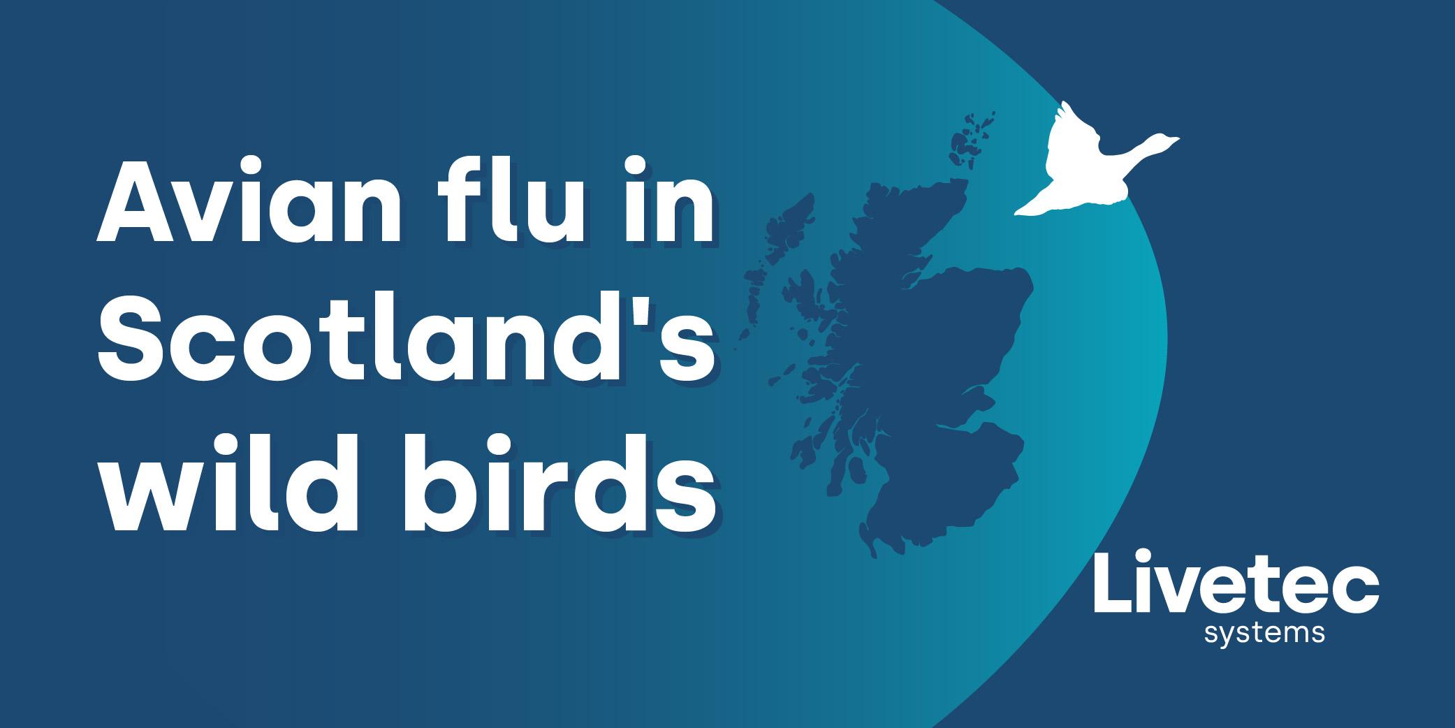 On 11th April 2023 NatureScot reported avian flu in wild birds in Scotland. The report details the impact of the disease as well as preventing the flu from spreading.