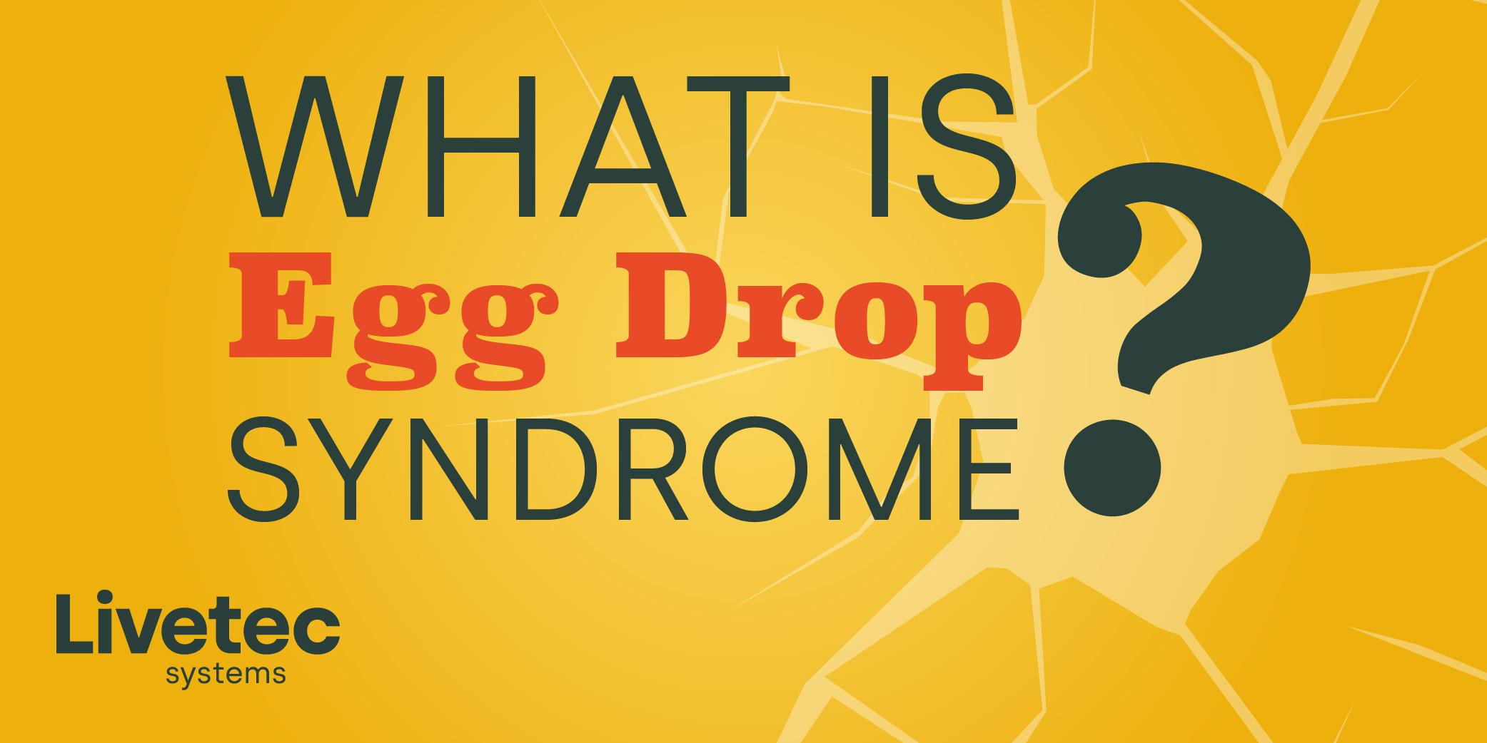 What is egg drop syndrome? blog graphic