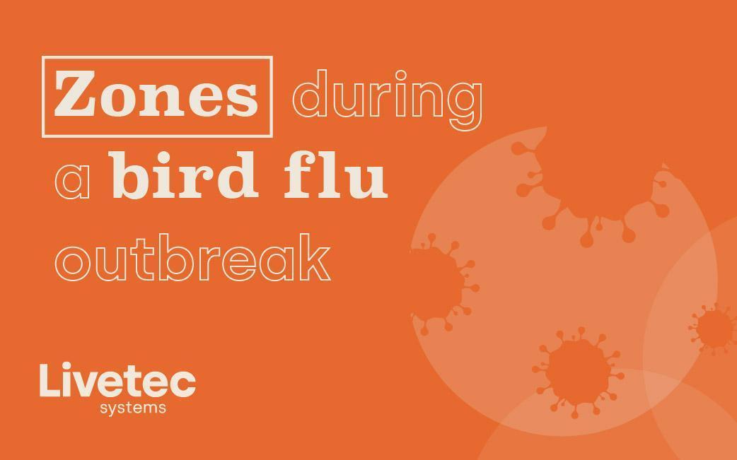 Zones during a bird flu outbreak (UK)