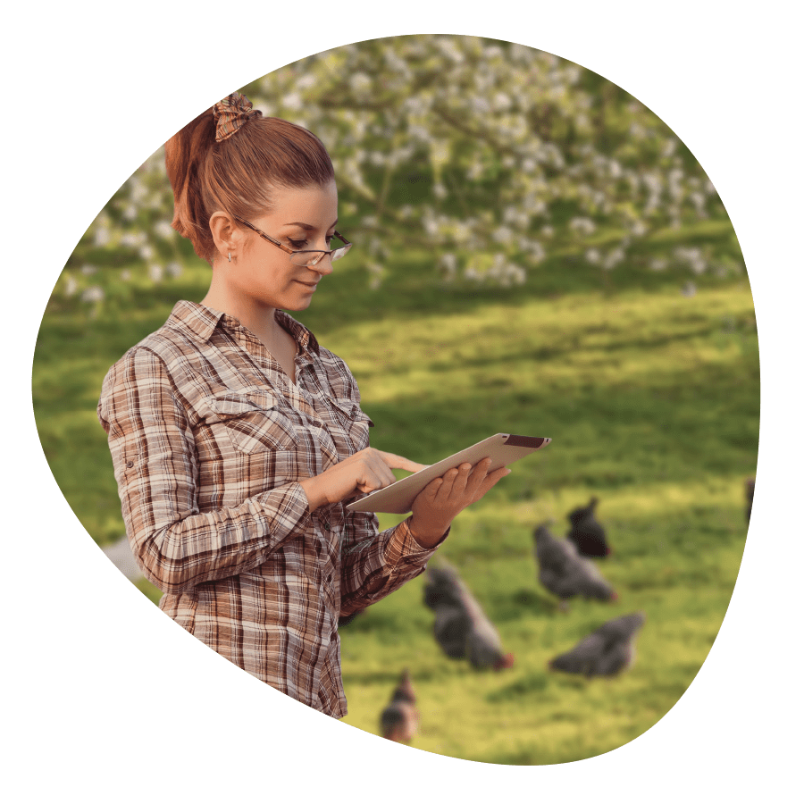 Farmer using the Livetec Biosecurity App on her tablet