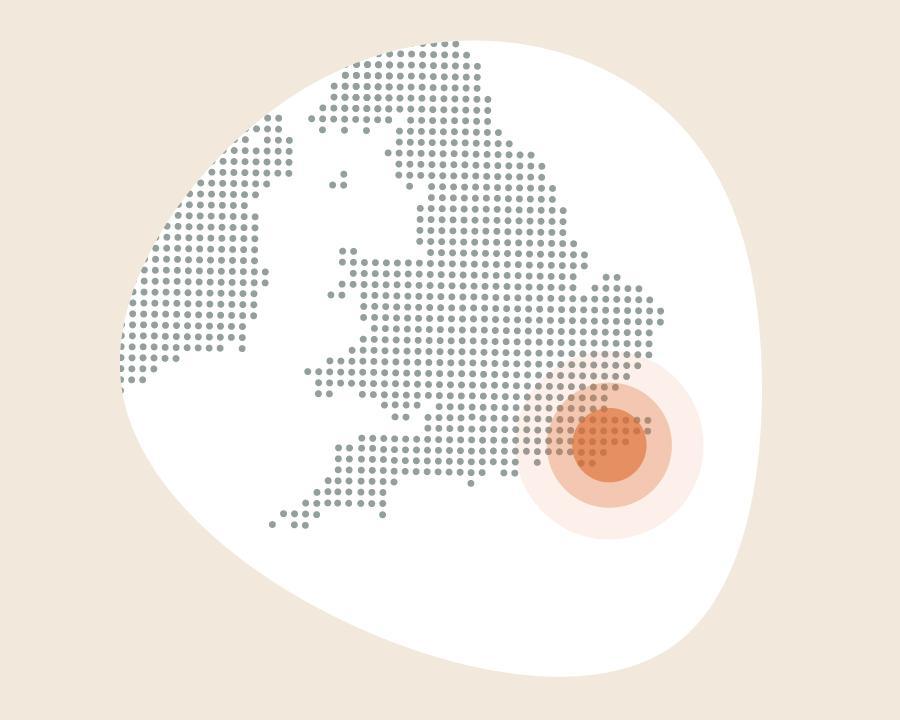 Highly pathogenic avian influenza H5N1 has been confirmed at a premises near Hythe, Kent