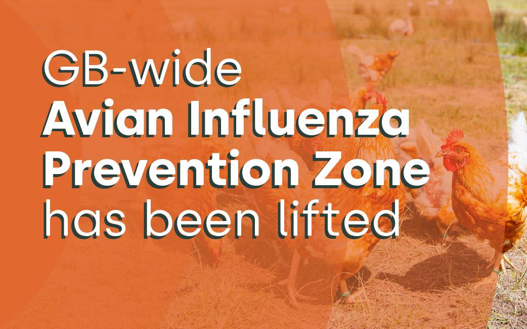 GB-wide Avian Influenza Prevention Zone has been lifted