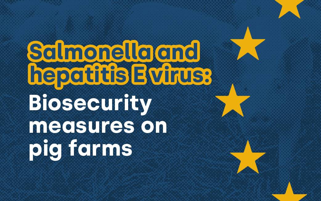Salmonella and hepatitis E virus: Biosecurity measures on pig farms