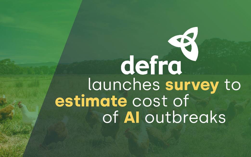 Defra launches survey to estimate the cost of avian influenza outbreaks