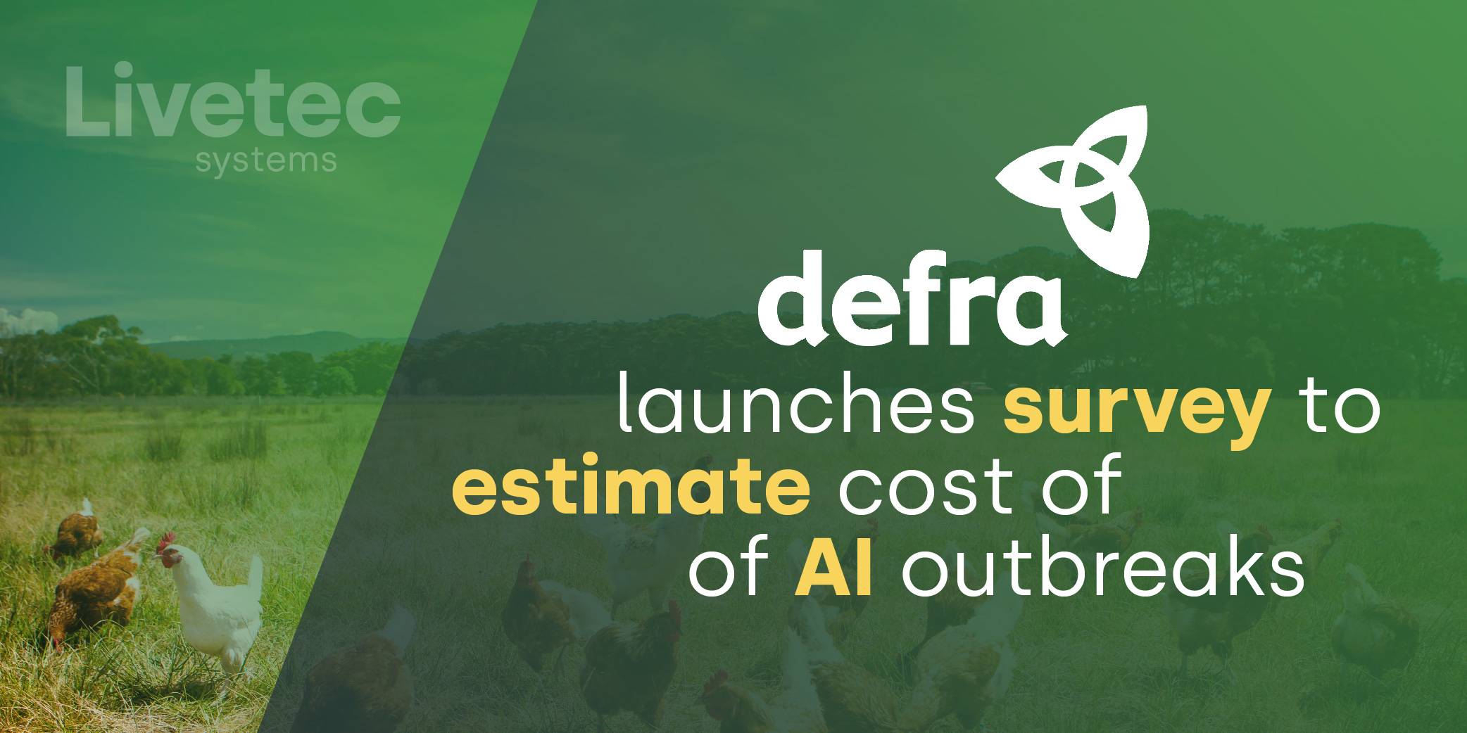 Defra launches survey to estimate the cost of avian influenza outbreaks blog graphic