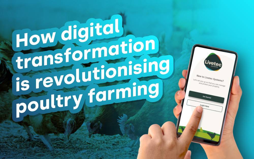 How digital transformation is revolutionising poultry farming