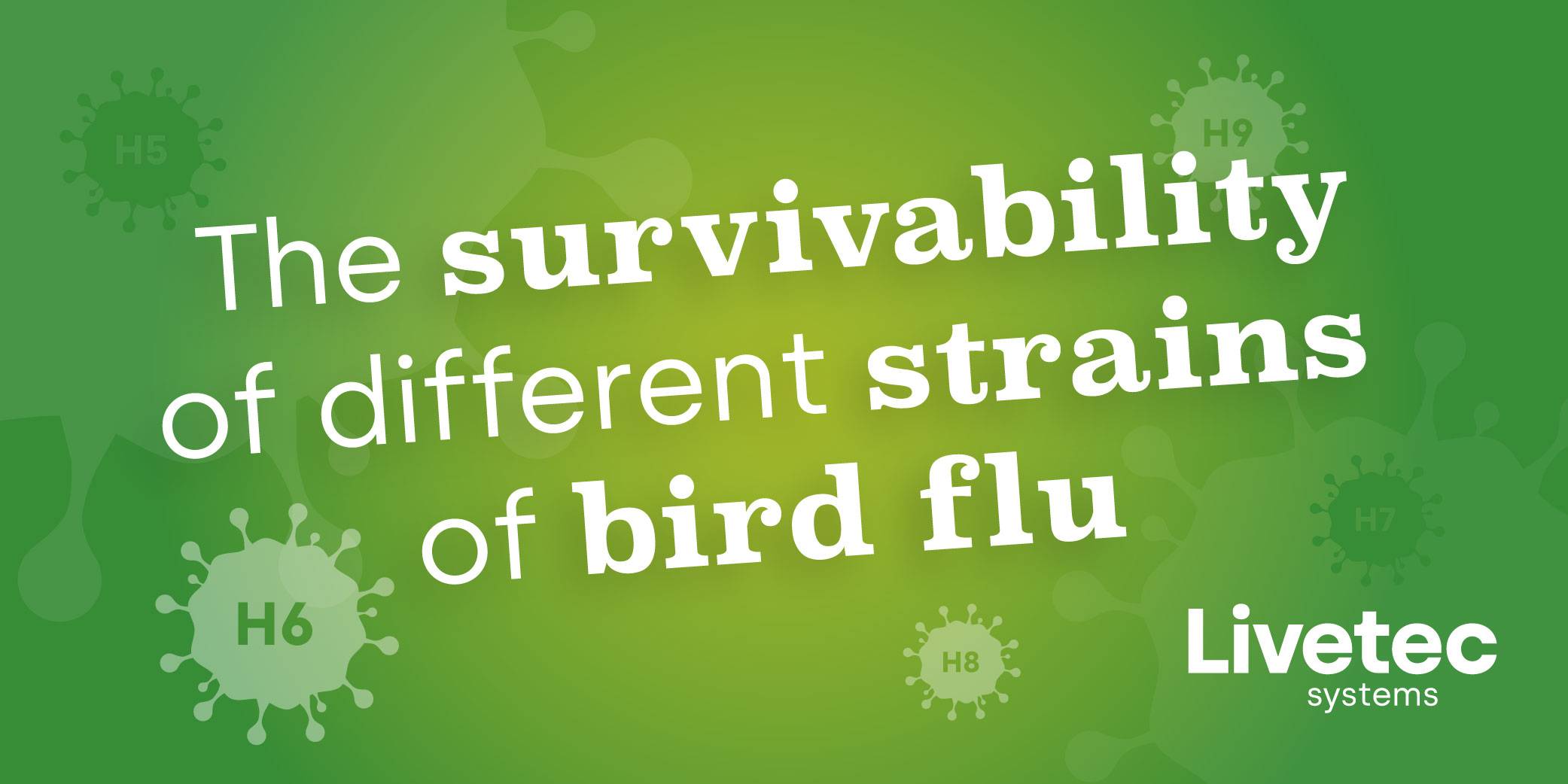 Survivability of different strains of bird flu
