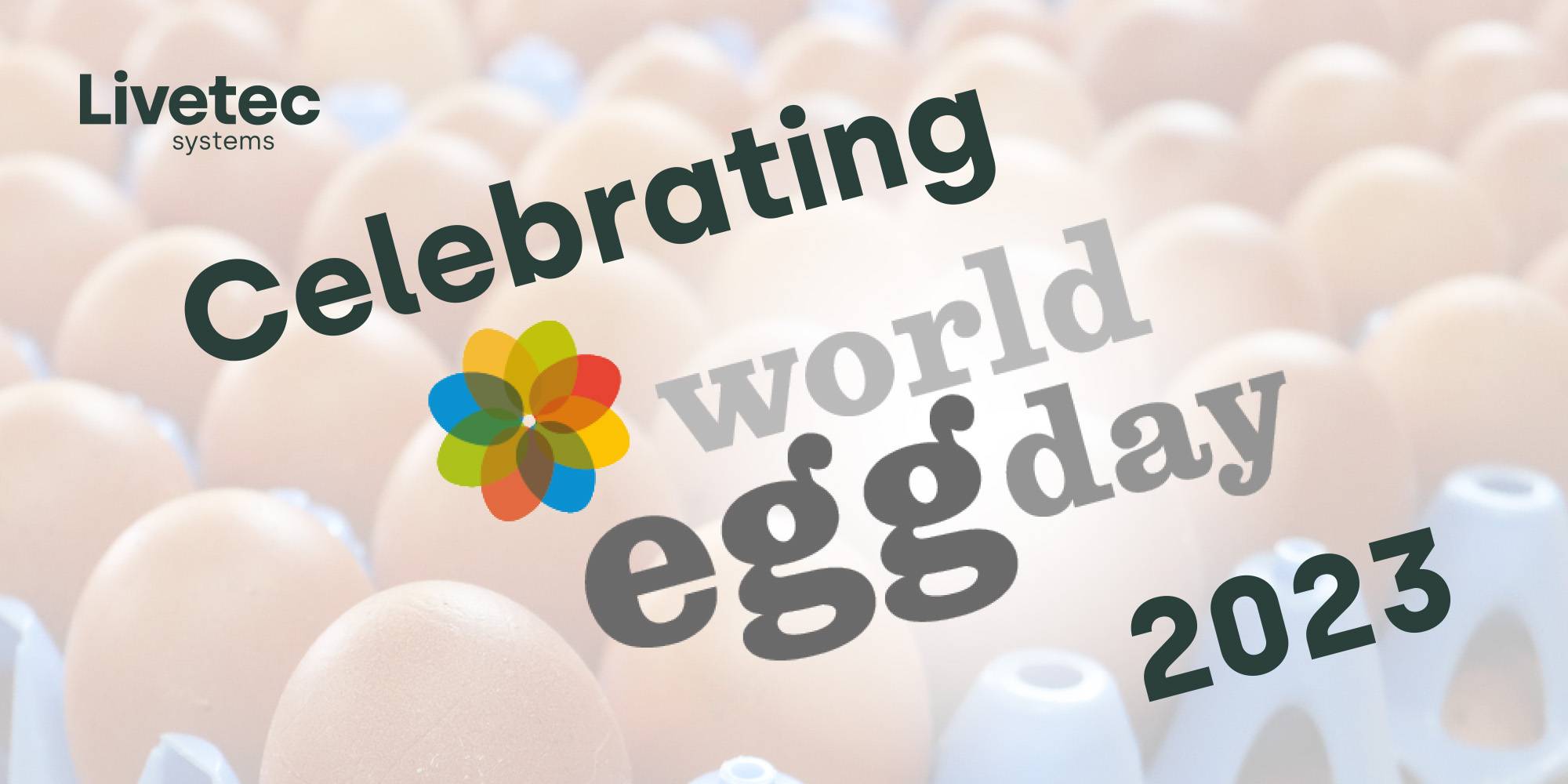 Celebrating World Egg Day 2023!