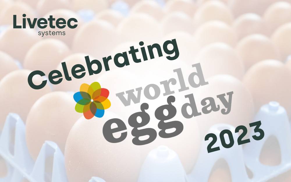 Celebrating World Egg Day 2023!