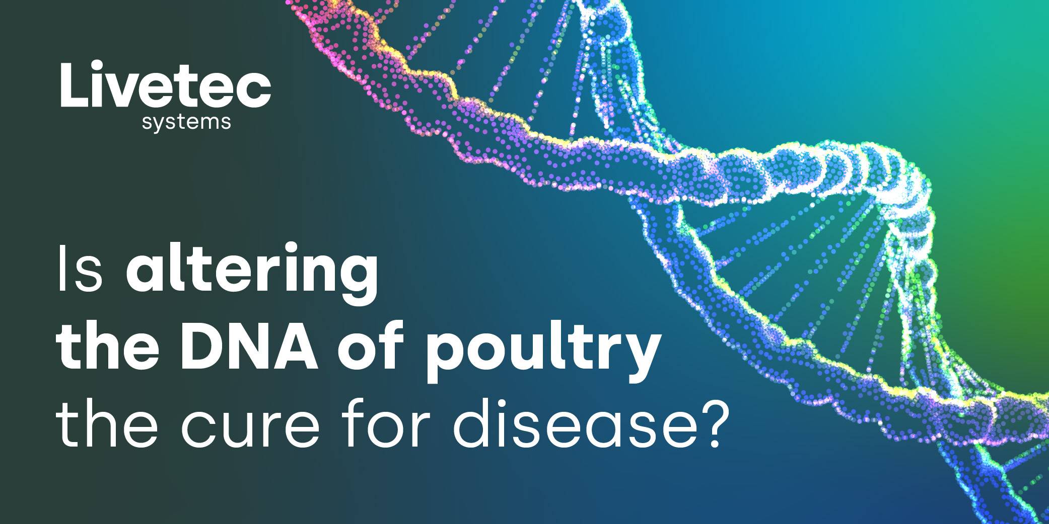 s altering the DNA of poultry the cure for disease? blog graphic