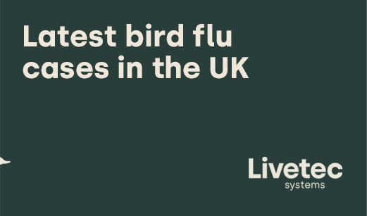 Avian influenza outbreaks in the UK