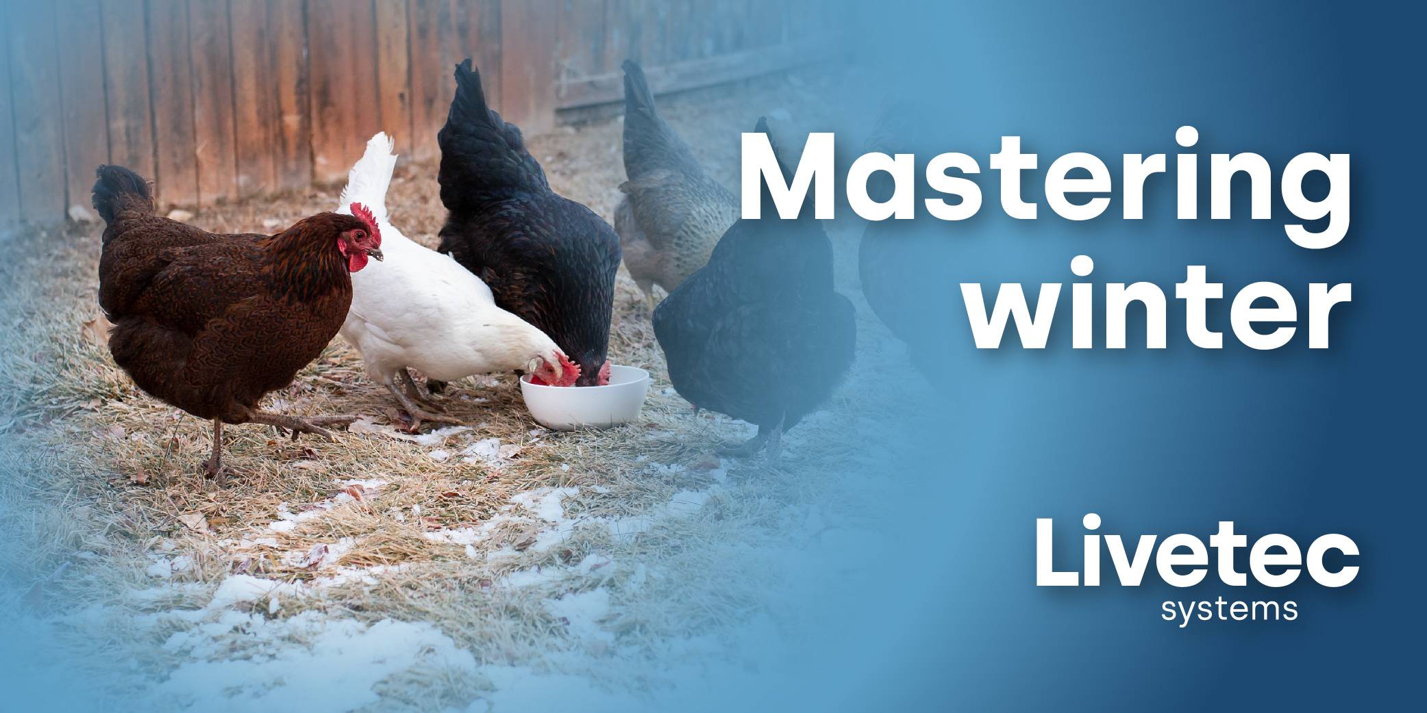 Mastering winter blog cover