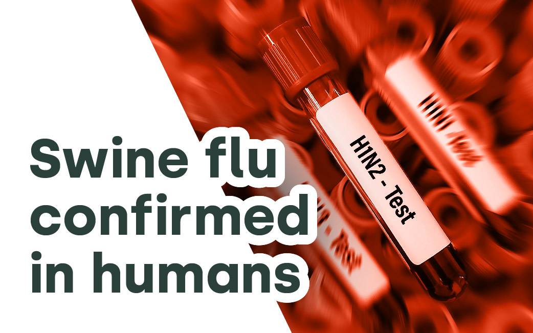 Swine flu confirmed in humans