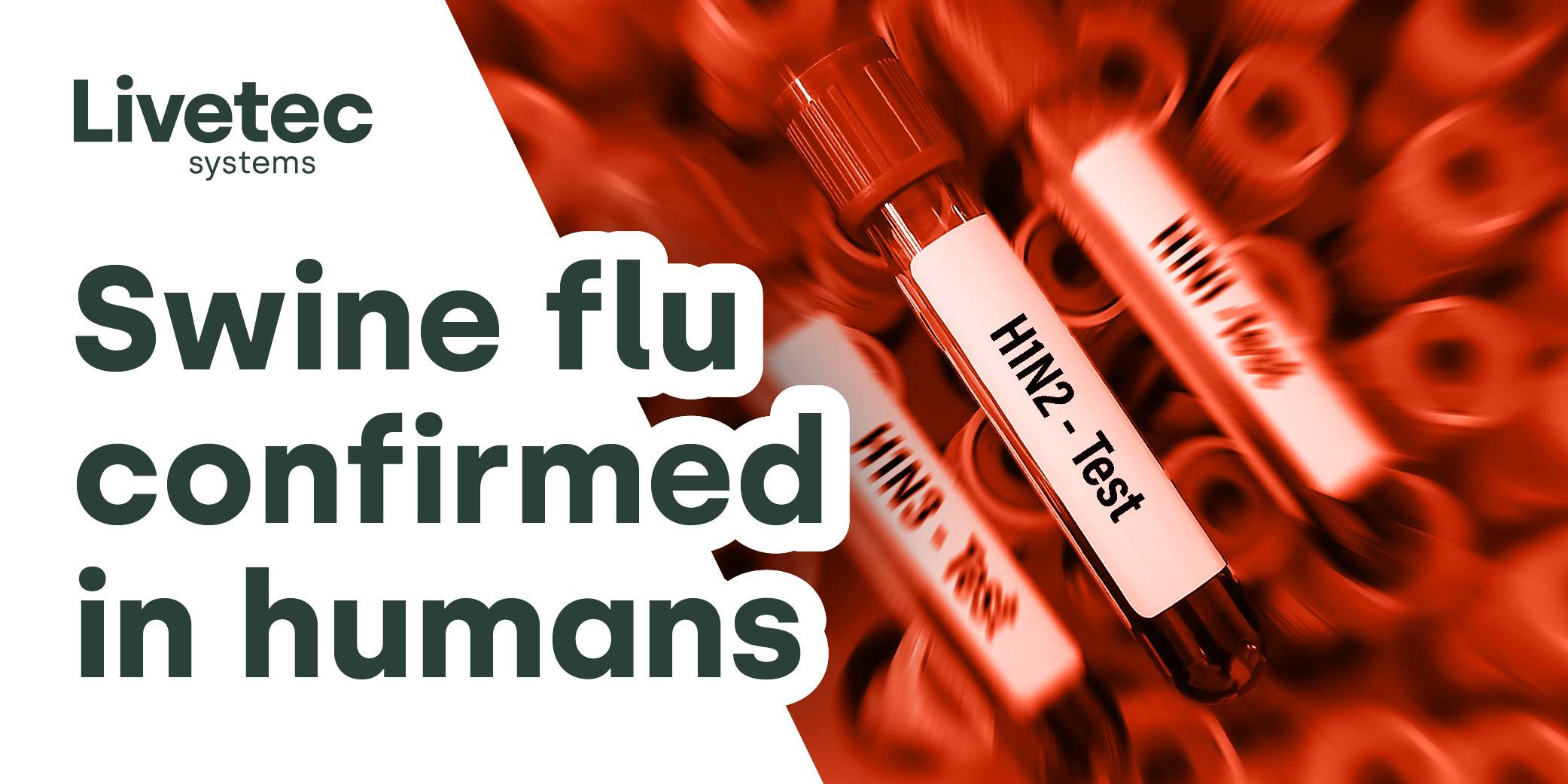 Swine flu confirmed in humans blog graphic