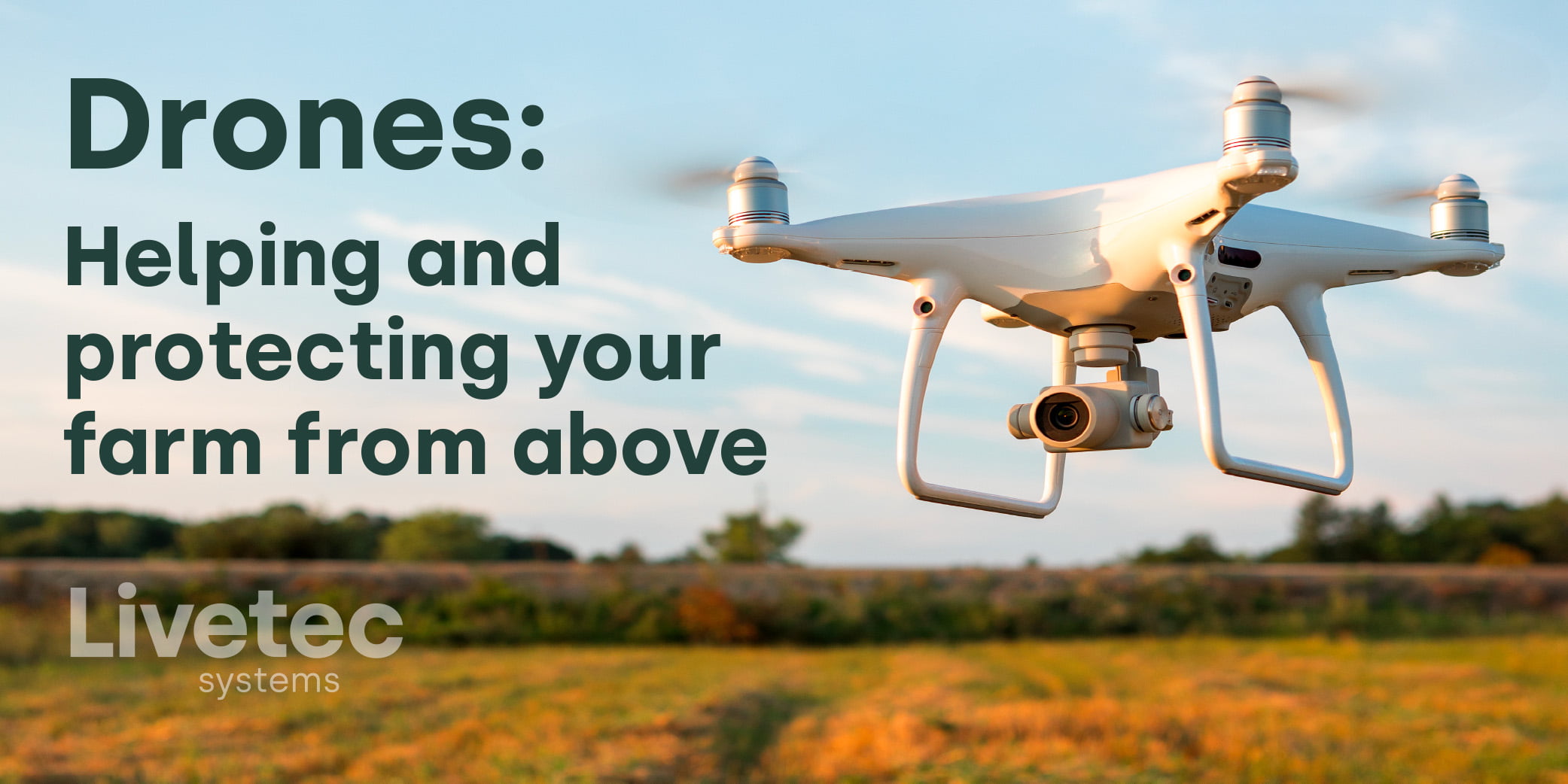 Drones in farming: helping your farm from above blog graphic