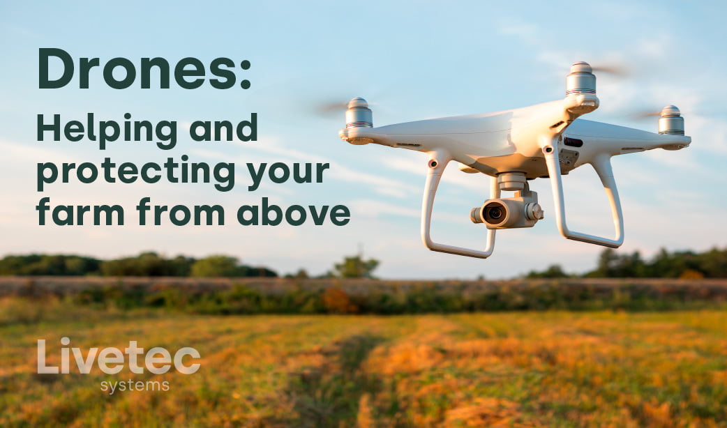 Drones in farming: helping your farm from above