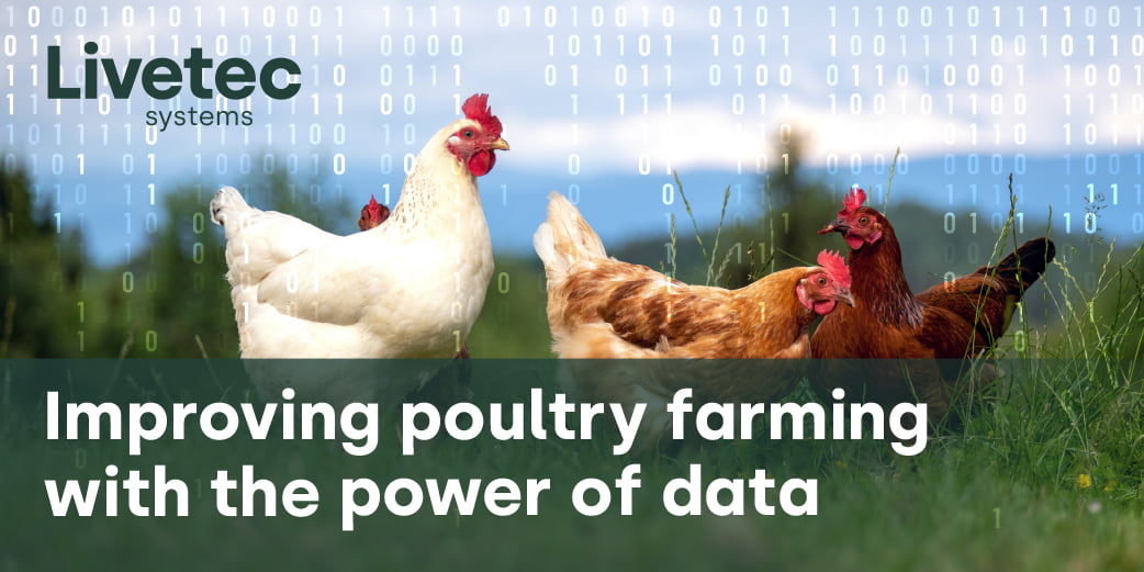 Improving poultry farming with the power of data blog graphic
