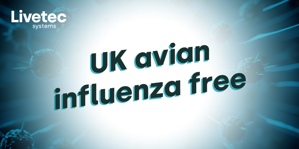 Uk avian influenza free Blog graphic