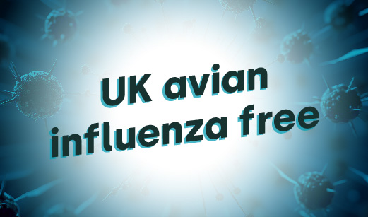 UK officially declared avian influenza free